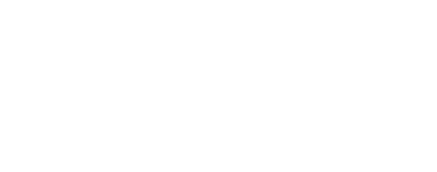 Steitz_Logo_White_Transparent